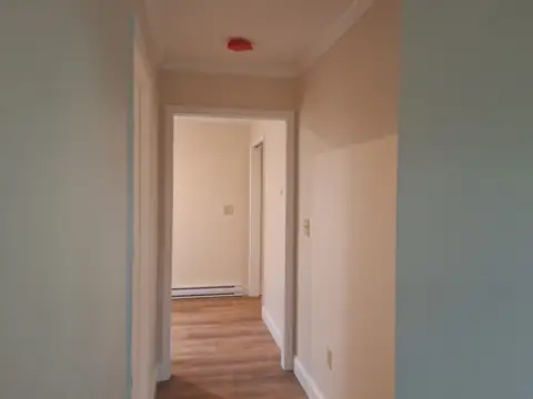 Hallway with painted walls, white trim and a plank floor